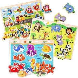 Wooden Peg Puzzles for Educational Preschool Peg Puzzles Toy
